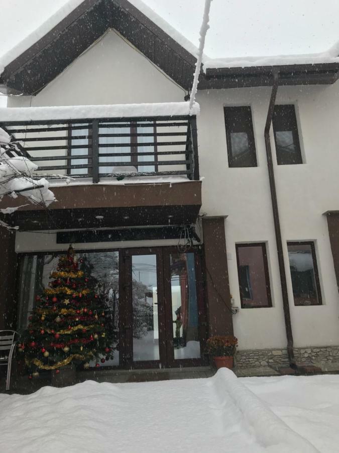 Upstairs Residence Тыргу-Жиу Экстерьер фото